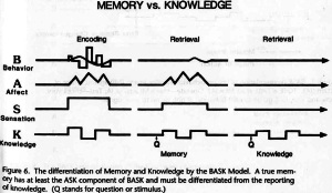 Различие между реальным воспоминанием события и знании о фактах события по BASK. (C) Braun, 1988.